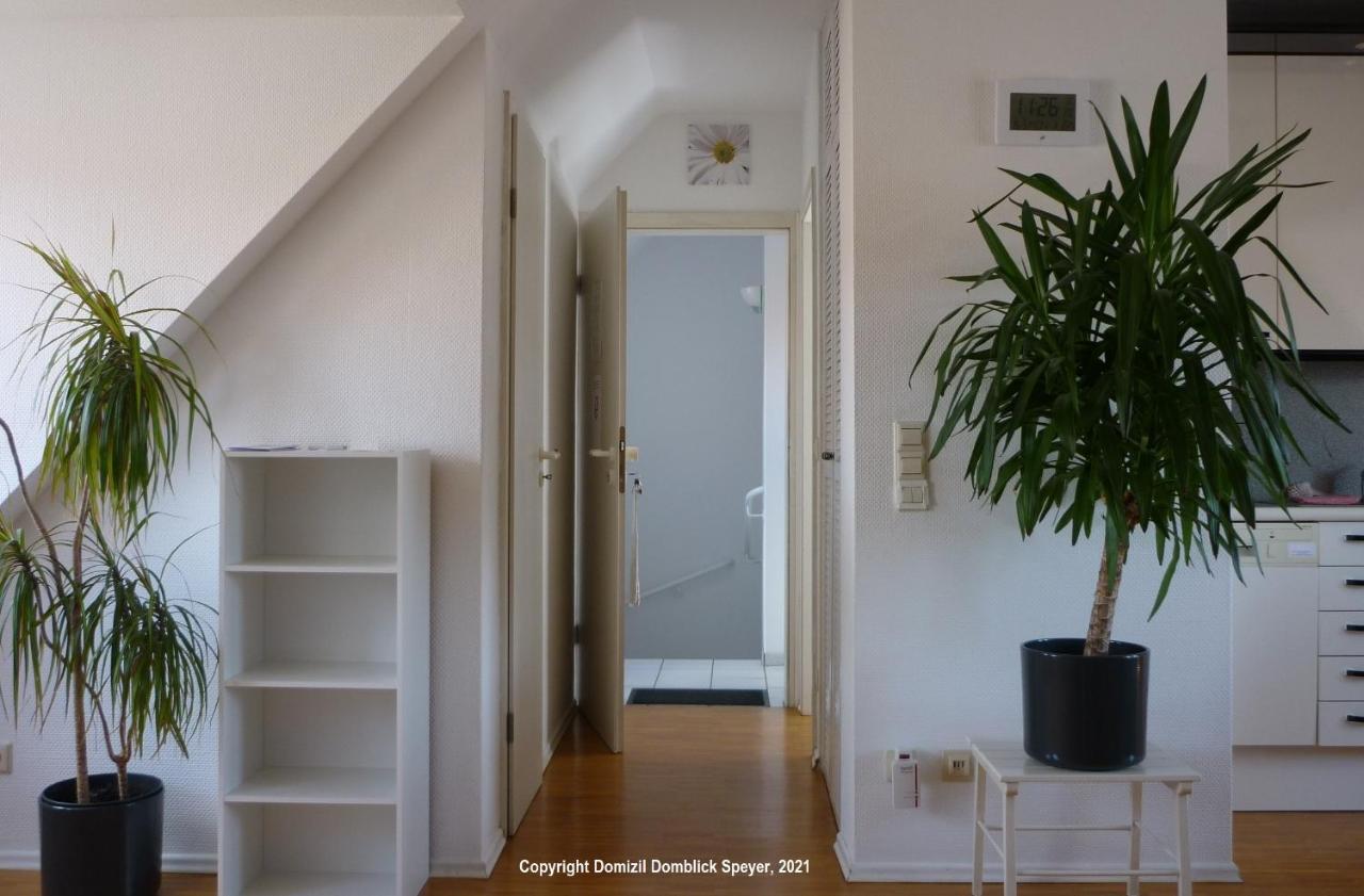 Domizil Domblick Speyer City, Garage, 50M2 Exteriör bild