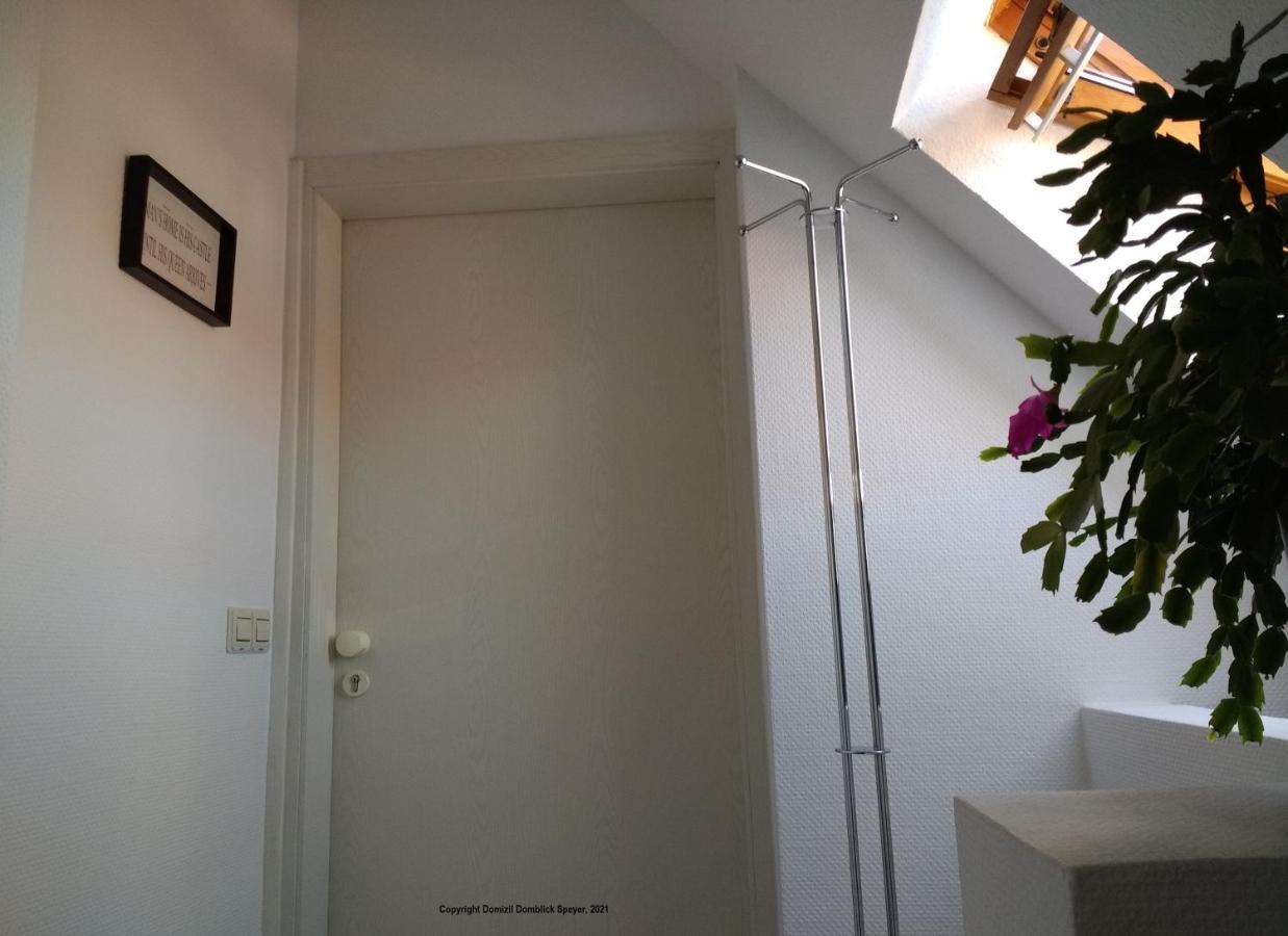 Domizil Domblick Speyer City, Garage, 50M2 Exteriör bild