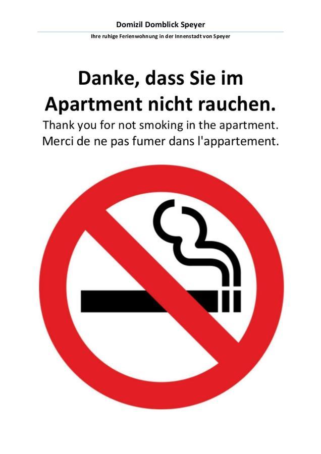 Domizil Domblick Speyer City, Garage, 50M2 Exteriör bild