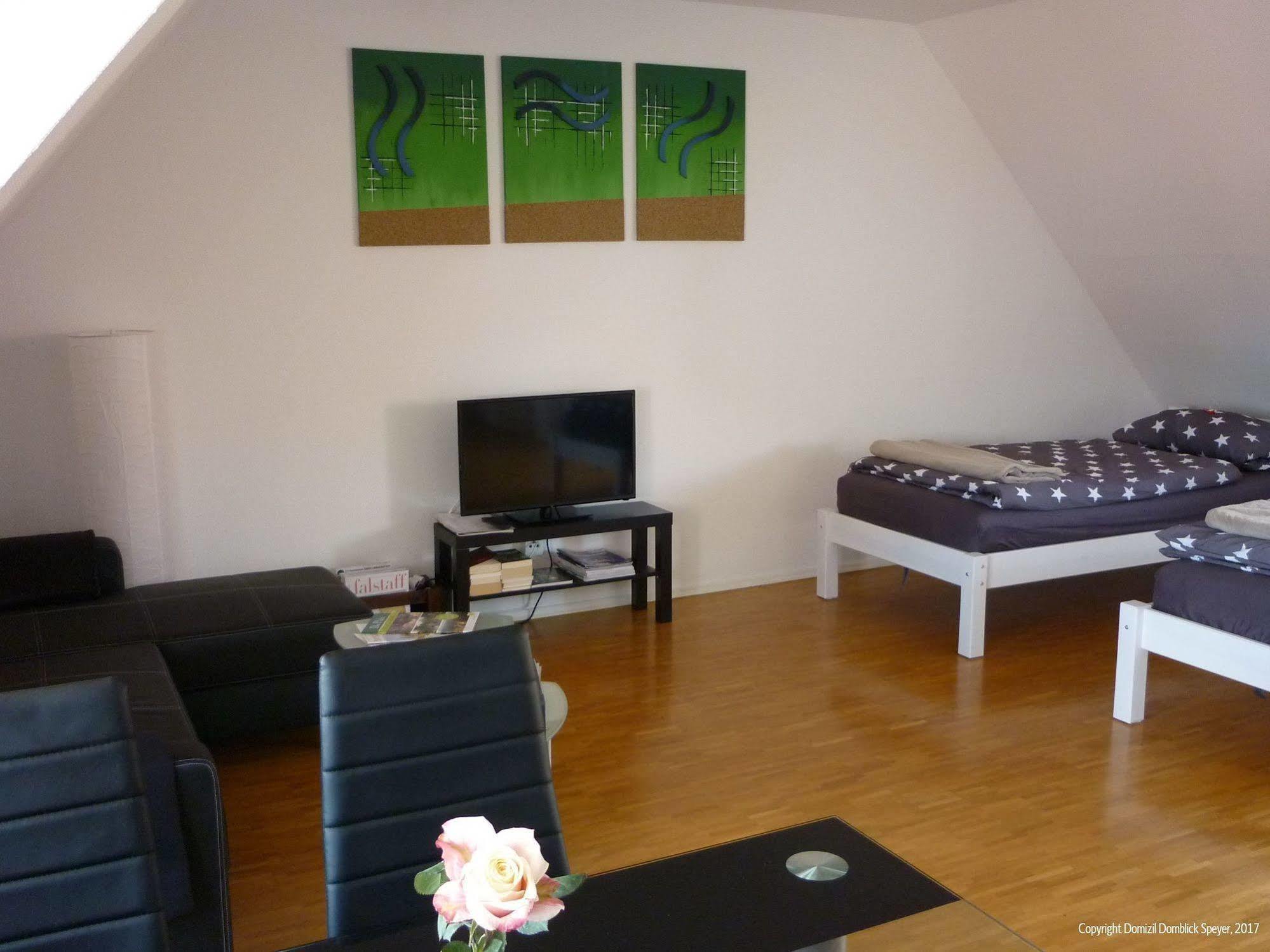Domizil Domblick Speyer City, Garage, 50M2 Exteriör bild